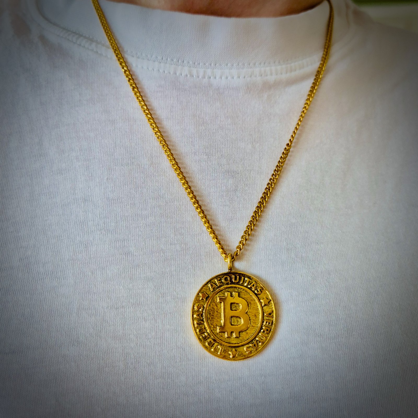 AEQUITAS * VERITAS * LIBERTAS [chain]